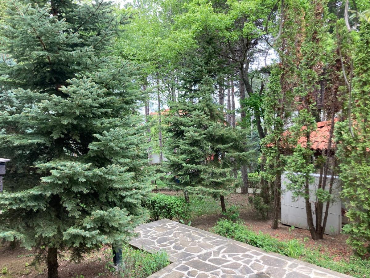 Lovely Apartment Santa Marina Созополь Екстер'єр фото